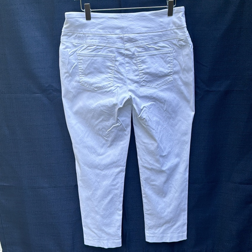 Ruby Rd Pants - image 2